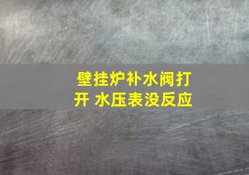 壁挂炉补水阀打开 水压表没反应